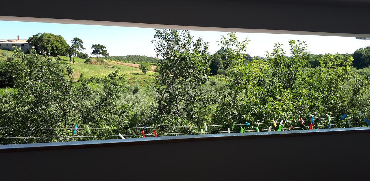 Lea Apartment Porec